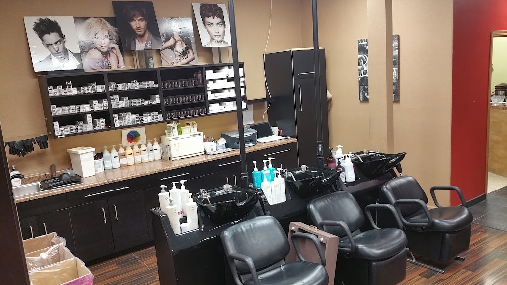 Art & Nature Eco-Salon | 330 Peterson Rd, Libertyville, IL 60048, USA | Phone: (847) 816-7444