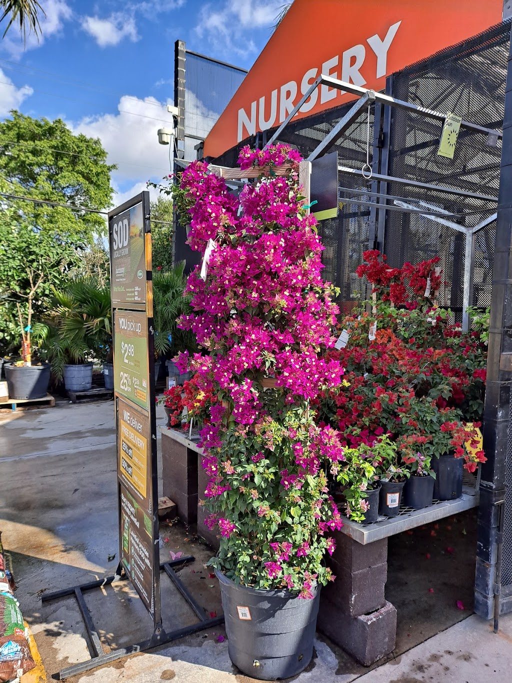 Garden Center at The Home Depot | 1000 NE 4th Ave, Fort Lauderdale, FL 33304, USA | Phone: (954) 763-1932