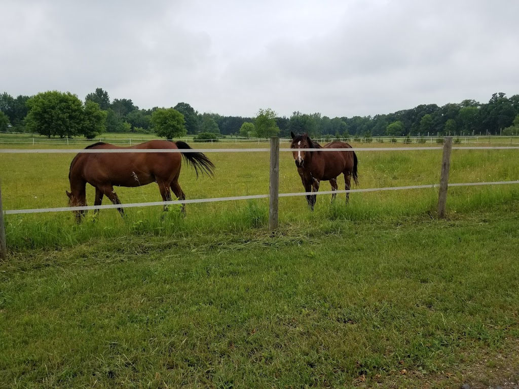 Elder Law Services | 99 N Medina St Box 126, Loretto, MN 55357, USA | Phone: (763) 213-0714