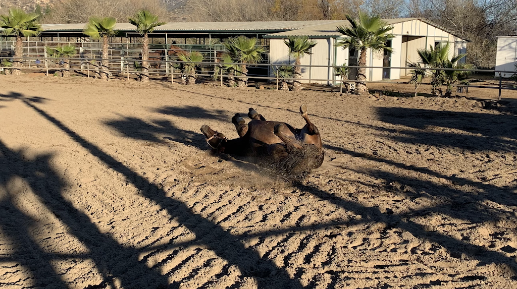 Windsor Equestrian Center | 12307 Willow Rd, Lakeside, CA 92040, USA | Phone: (619) 334-4777