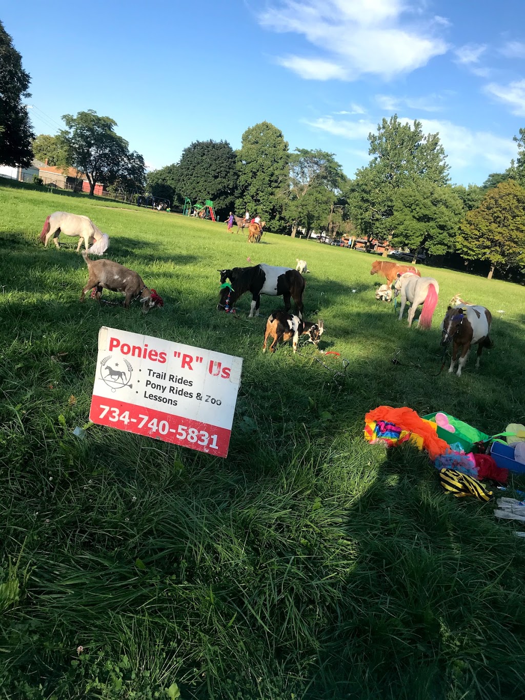 Ponies "R" Us & Mobile Petting Zoo | 28400 Grix Rd, New Boston, MI 48164 | Phone: (734) 740-5831