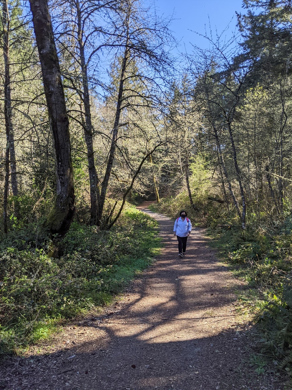 Farrells Marsh Wildlife Area | Steilacoom, WA 98388, USA | Phone: (253) 581-1912