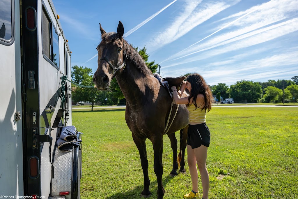Topline Horse Center - Sunday