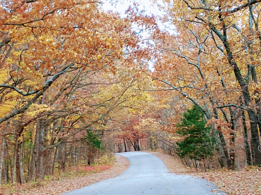 Babler State Park | 800 Guy Park Dr, Wildwood, MO 63005, USA | Phone: (636) 458-3813