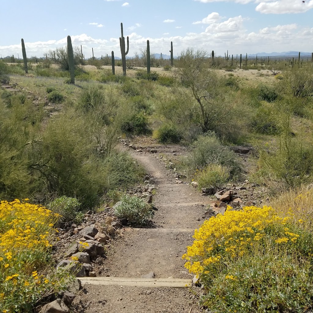 Picacho Peak State Park | 15520 Picacho Peak Rd, Picacho, AZ 85141, USA | Phone: (520) 466-3183