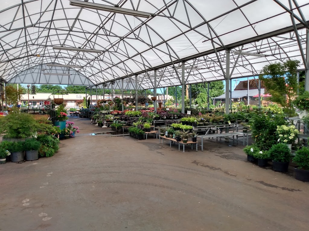Timberwinds Nursery | 54 Clarkson Rd, Ellisville, MO 63011, USA | Phone: (636) 227-0095