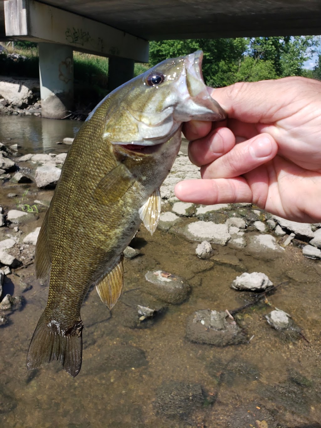 Paint Creek Fishing Access | Wayne Township, OH 43160, USA | Phone: (614) 644-3925