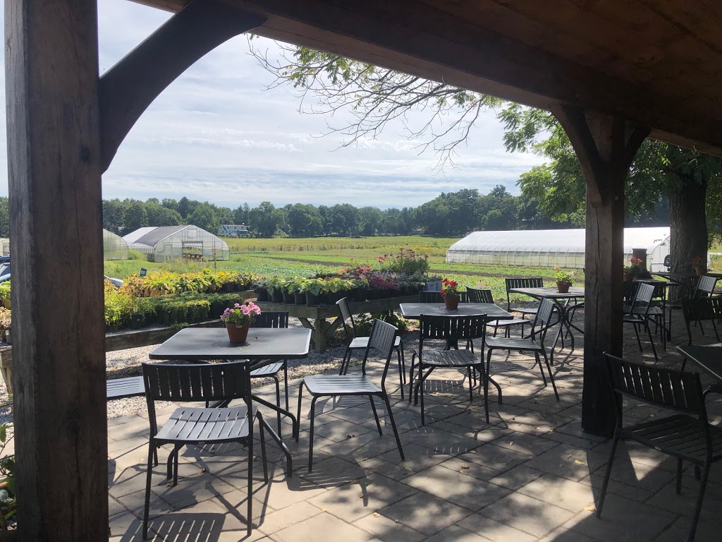 The Farmers Porch at Tangerinis Farm | 139 Spring St, Millis, MA 02054, USA | Phone: (508) 376-5024