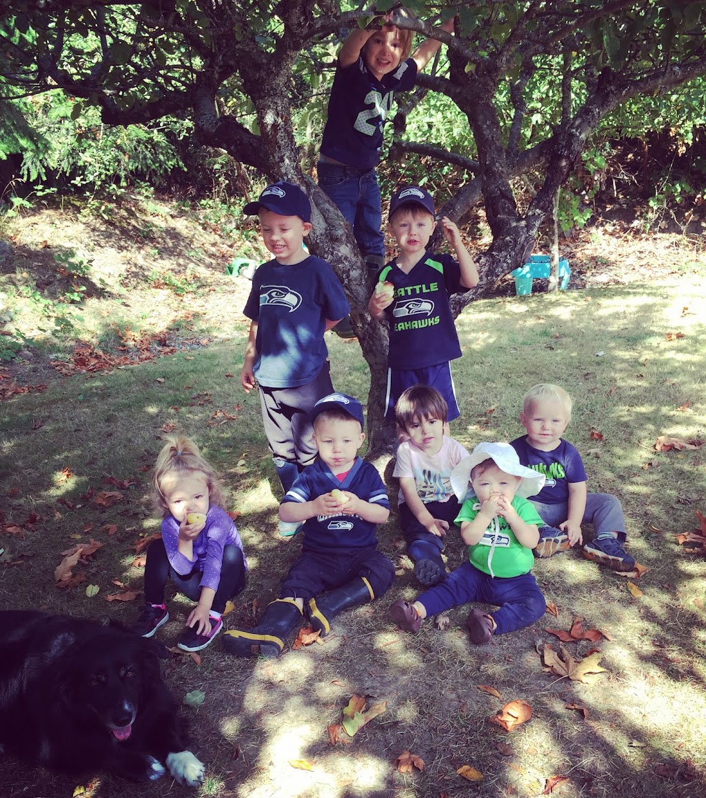 Little Islanders Preschool | 12929 Vashon Hwy SW, Vashon, WA 98070, USA | Phone: (206) 463-9797