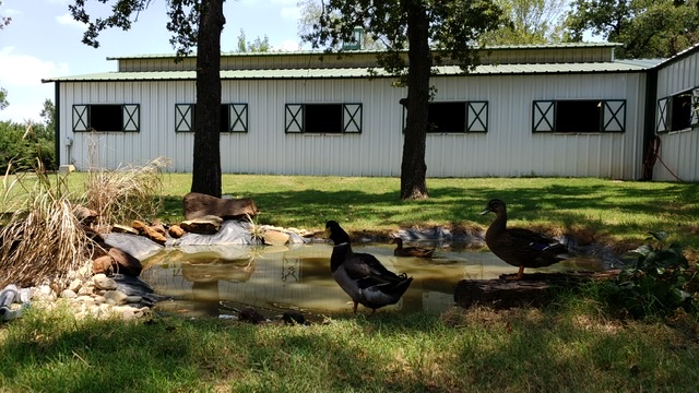 Homeward Farms | 5807 Pepperport Ln, Lewisville, TX 75022, USA | Phone: (817) 875-3520