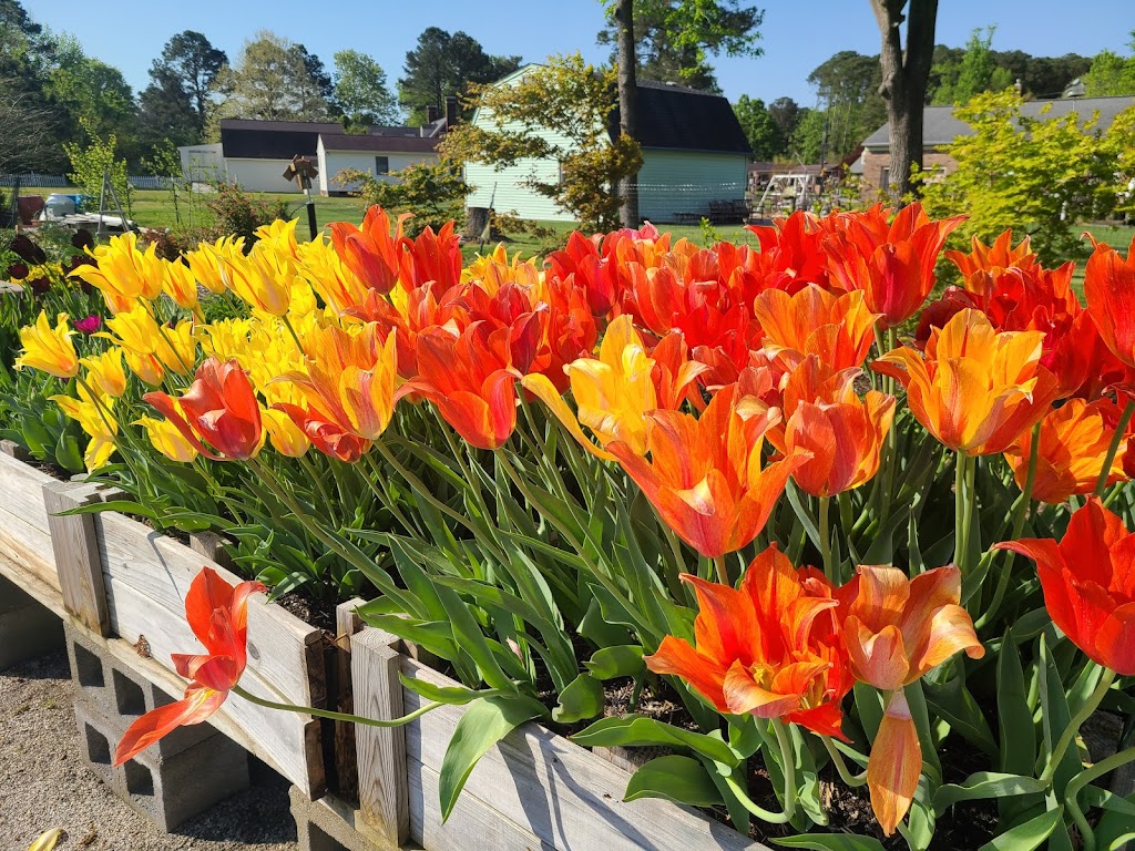 Poquoson Learning Garden | 968 Poquoson Avenue Yorktown, VA 23692, Poquoson, VA 23662, USA | Phone: (757) 890-4940