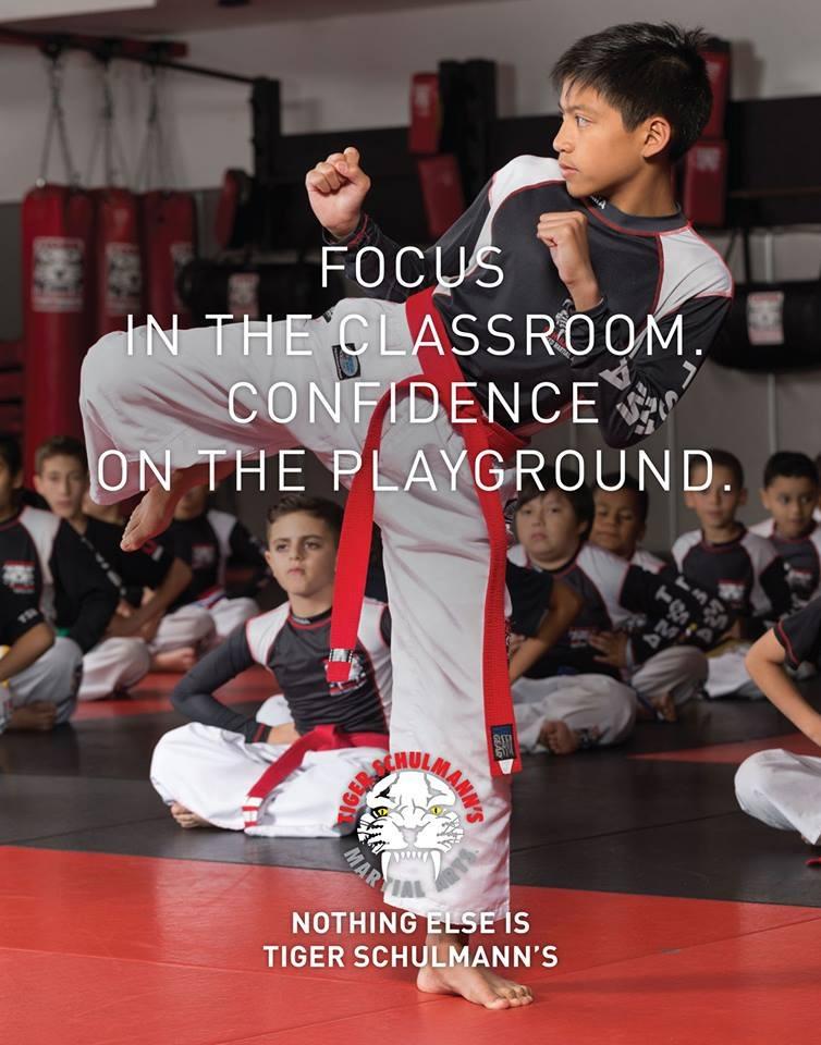 Tiger Schulmanns Martial Arts (Cherry Hill, NJ) | 226 Haddonfield Rd, Cherry Hill, NJ 08002, USA | Phone: (856) 202-3377