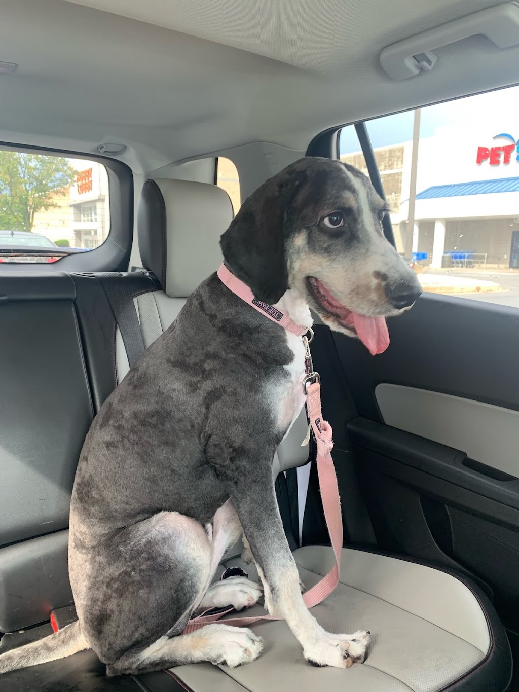 PetSmart Corporate Office | 19601 N 27th Ave, Phoenix, AZ 85027, USA | Phone: (888) 839-9638