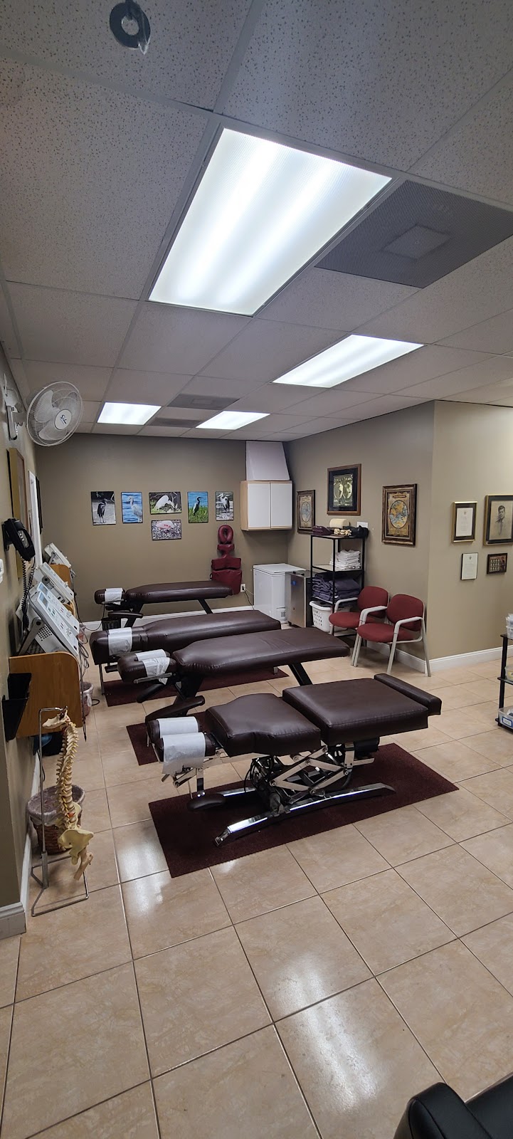 Gulfview Chiropractic & Wellness Center | 8323 US-19, Port Richey, FL 34668, USA | Phone: (727) 847-4611