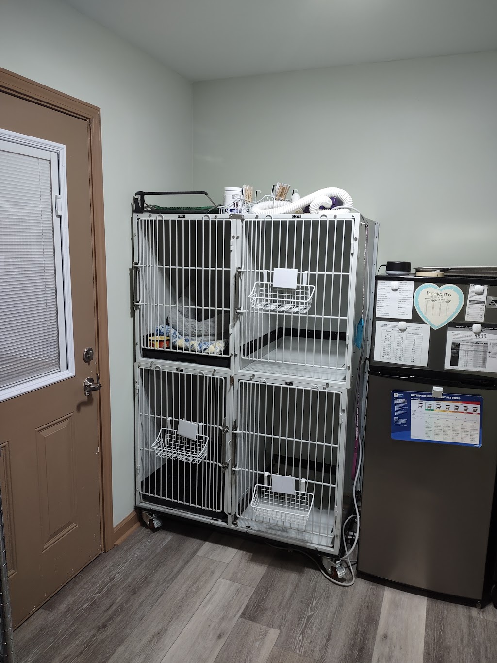 Greenbrook Companion Animal Hospital | 8928 Swinnea Rd, Southaven, MS 38671, USA | Phone: (662) 342-6100