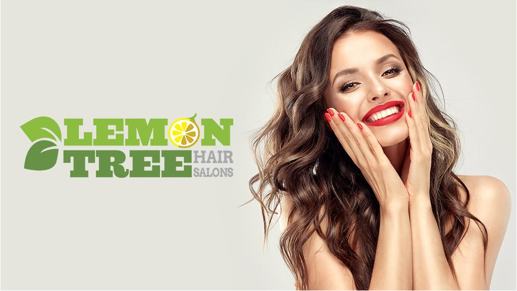 Lemon Tree Hair Salon Williston Park | 491 Willis Ave, Williston Park, NY 11596, USA | Phone: (516) 741-3105