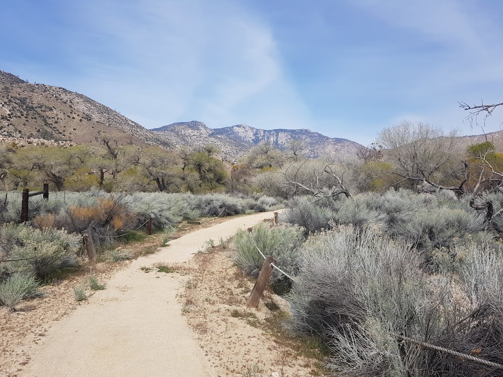 Canebrake Ecological Reserve | 27391 CA-178, Onyx, CA 93255, USA | Phone: (559) 243-4014