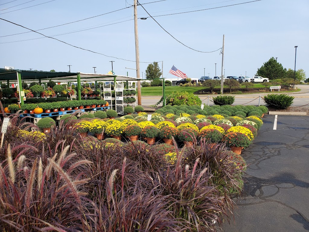 Artery Garden Center | 625 Southern Artery, Quincy, MA 02169 | Phone: (617) 786-0317