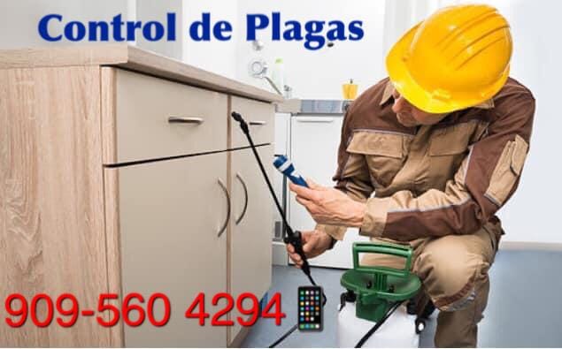 Fumigaciones Carpio | 6511 Myrtle Ct, Rancho Cucamonga, CA 91739, USA | Phone: (909) 560-4294