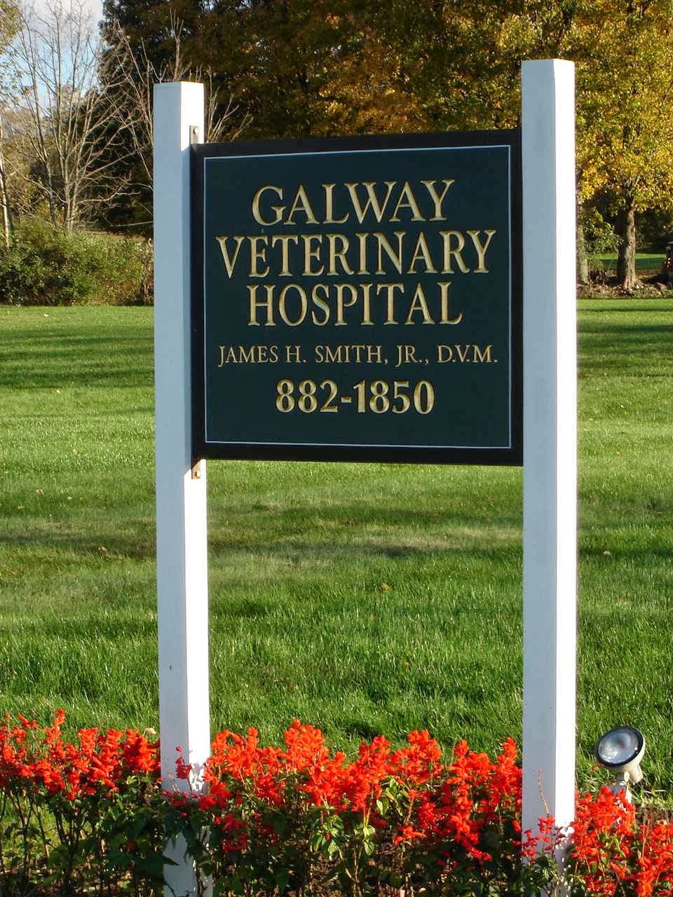 Galway Veterinary Hospital | 5072 Sacandaga Rd, Galway, NY 12074, USA | Phone: (518) 882-1850