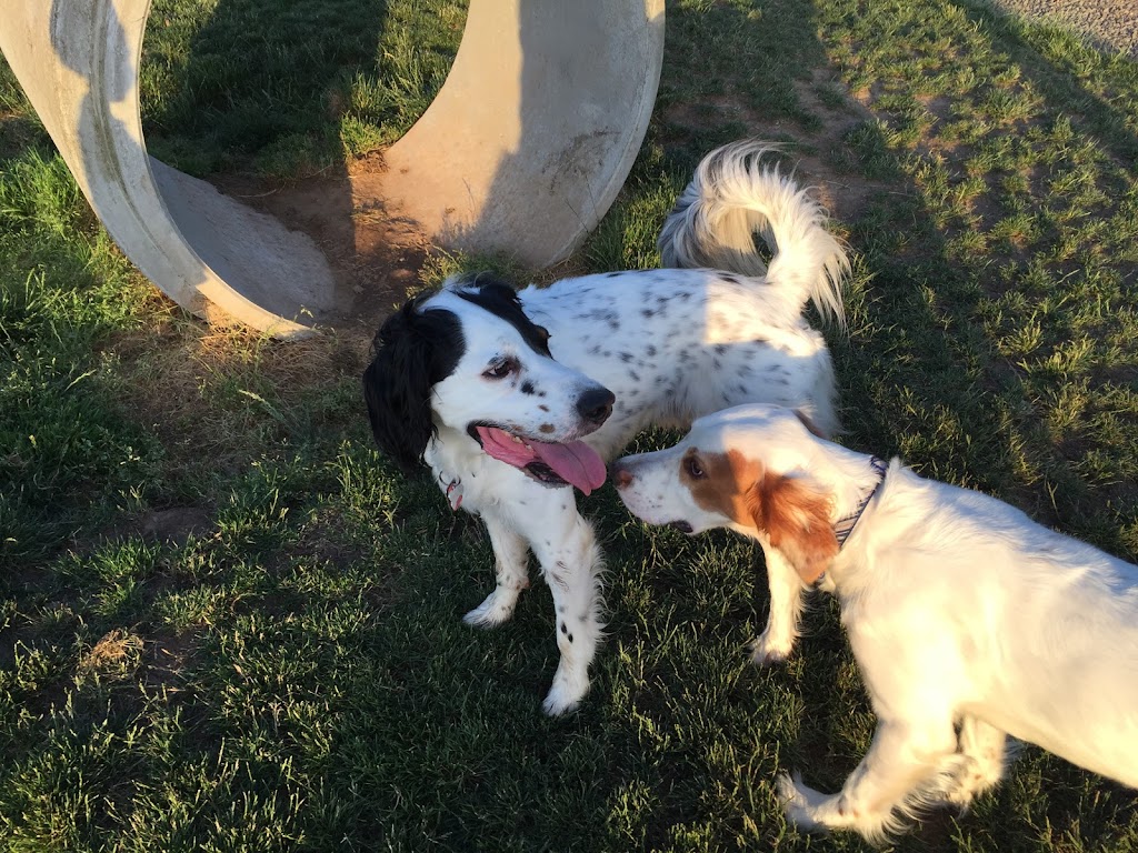 Sherwood Dog Park | 15365 SW Sunset Blvd, Sherwood, OR 97140, USA | Phone: (503) 625-5722