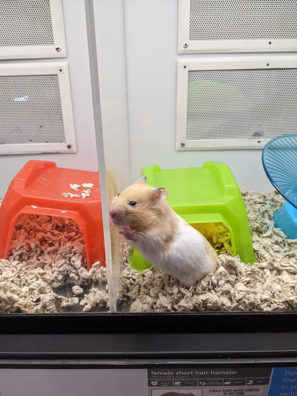 Petco | 160 E El Camino Real, Sunnyvale, CA 94087, USA | Phone: (408) 774-0171