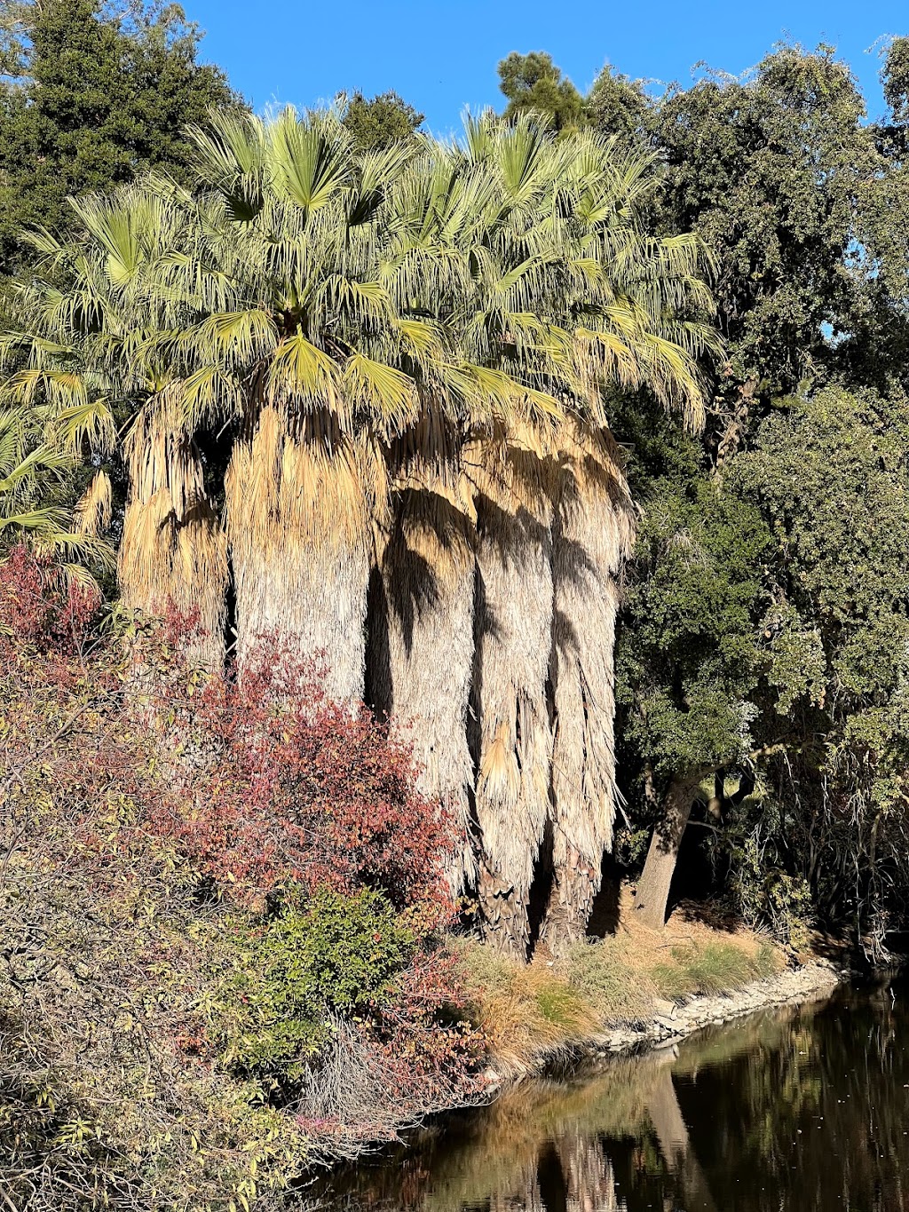 Native American Contemplation Garden | Mrak Hall Dr, Davis, CA 95616, USA | Phone: (530) 752-4880