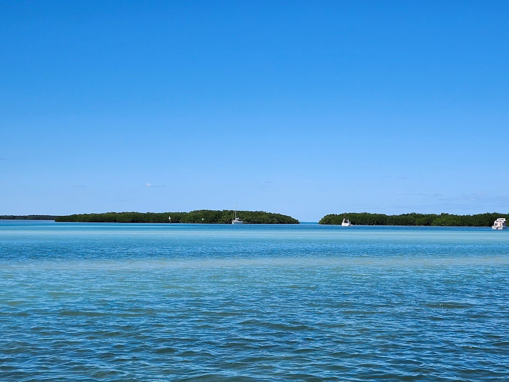 Family Fun Snorkeling, Sandbar, Ecotours, Sunset Cruise, Boat Tours | 85920 Overseas Hwy, Islamorada, FL 33036, USA | Phone: (305) 896-2915