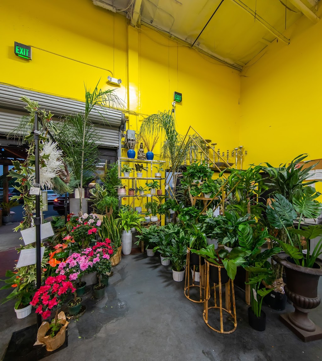 United Wholesale Flowers | 2350 Harris Way, San Jose, CA 95131, USA | Phone: (408) 277-0502