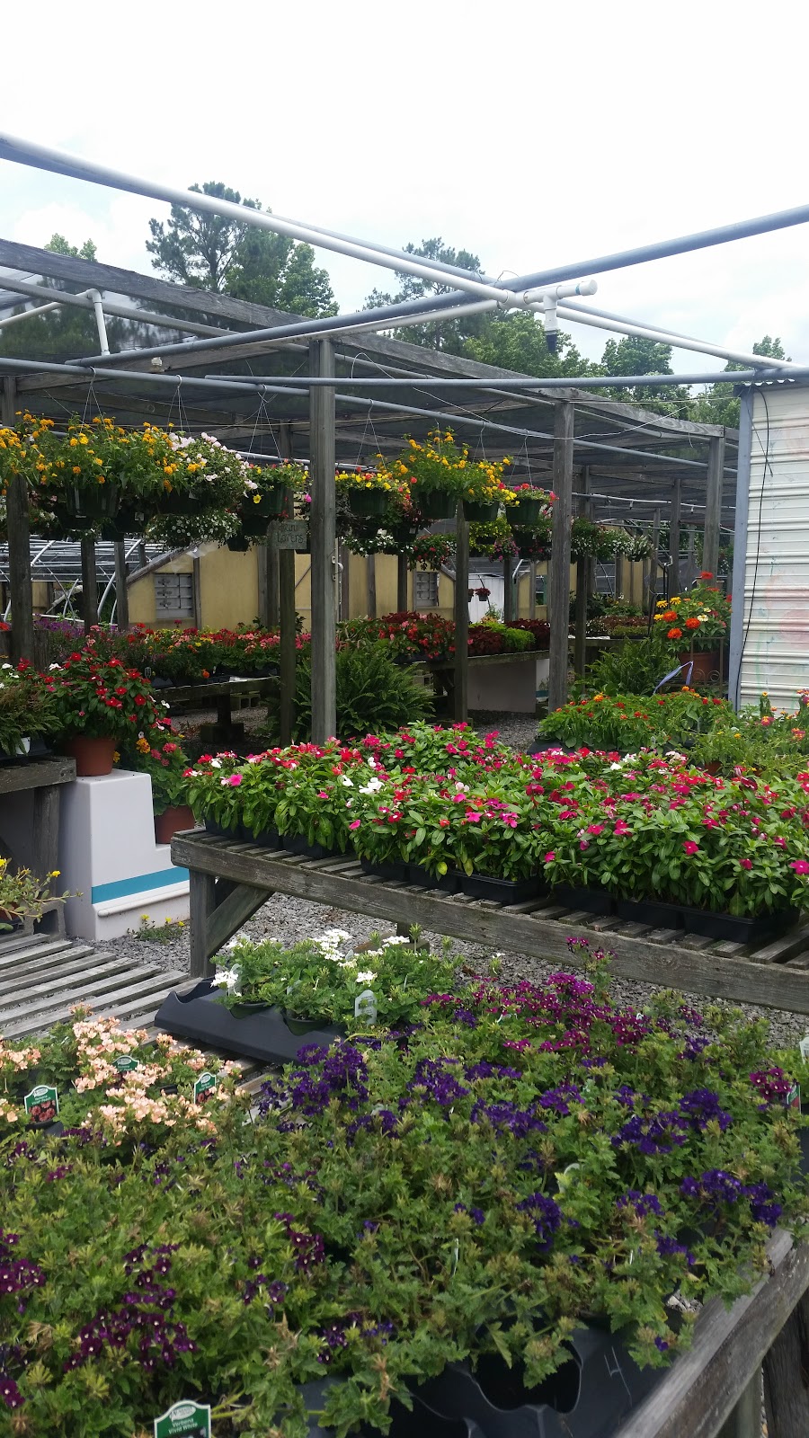 Bettes Garden Center | 1217 Tallapoosa St, Alexander City, AL 35010, USA | Phone: (256) 329-1115