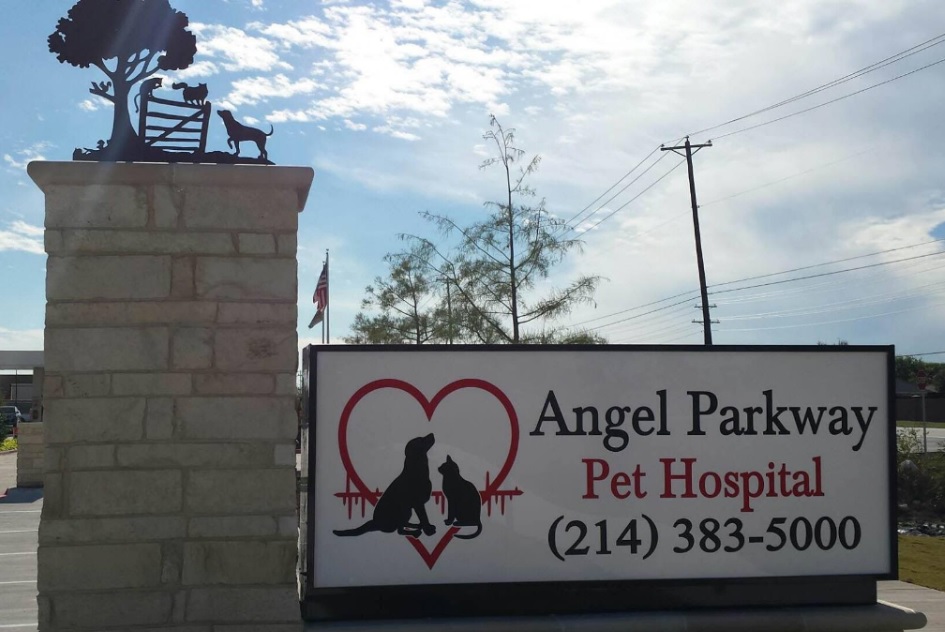 Angel Parkway Pet Hospital | 571 S Angel Pkwy, Lucas, TX 75002, USA | Phone: (214) 383-5000