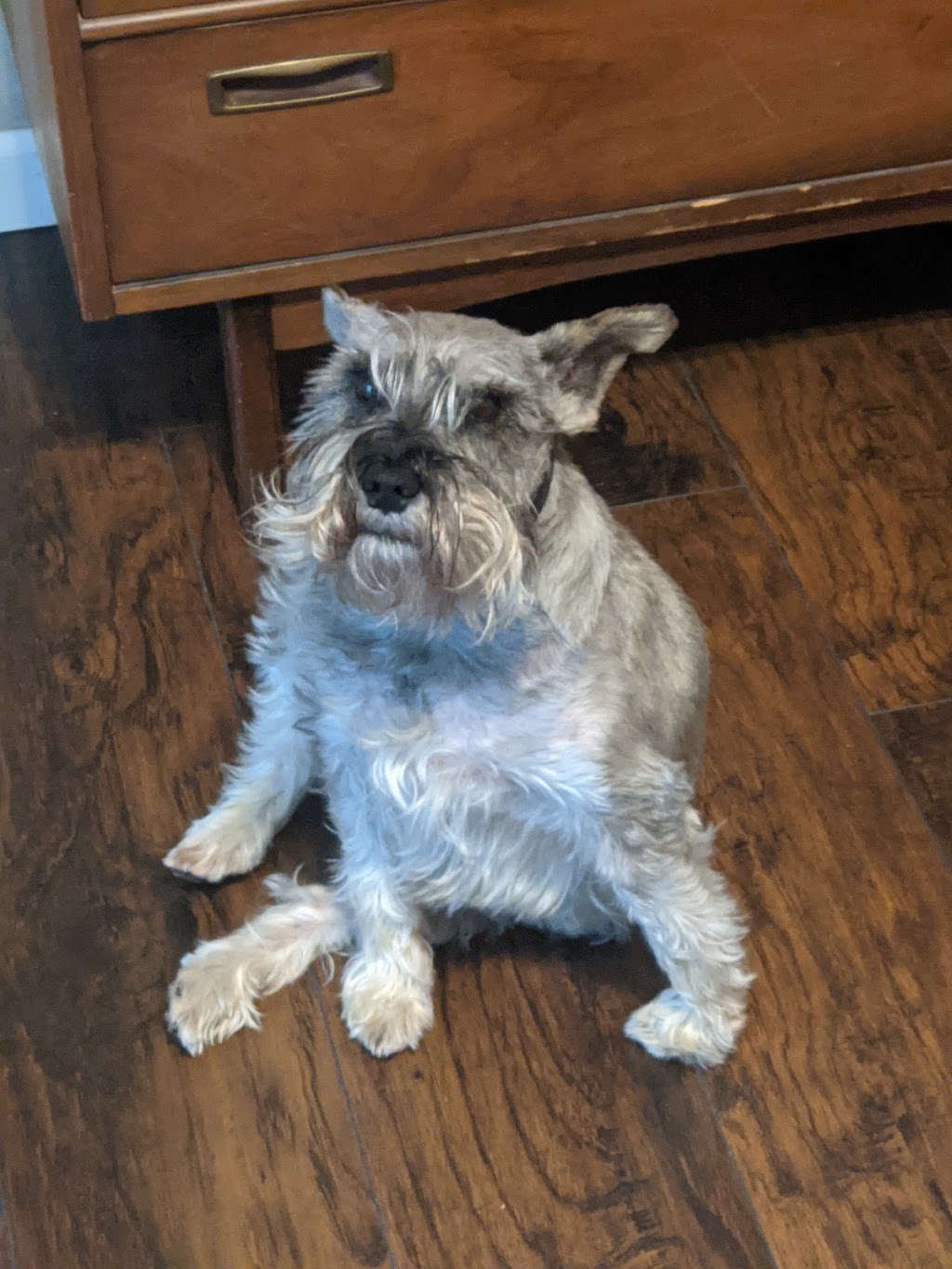 Childersburg Pet Clinic PC | 1440 Coosa Pines Dr, Childersburg, AL 35044 | Phone: (256) 378-7066