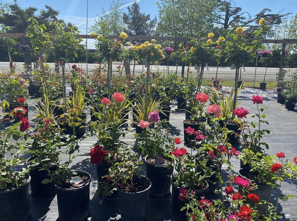 Big Tree Fruit Stand | 17725-, 17877 CA-88, Lockeford, CA 95237, USA | Phone: (209) 663-2661