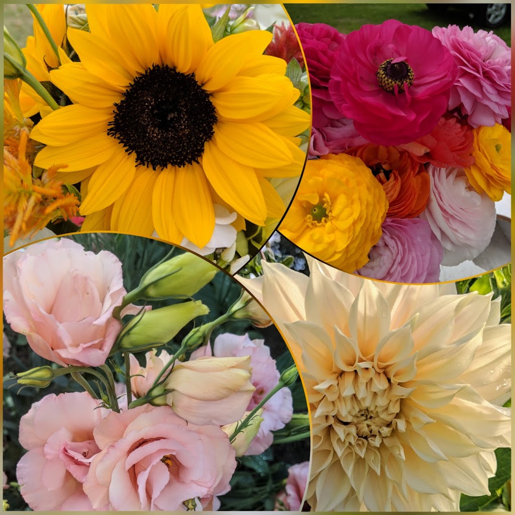 Flowers on the Hill | 5787 W Middlebury Rd, Wyoming, NY 14591, USA | Phone: (585) 356-5491