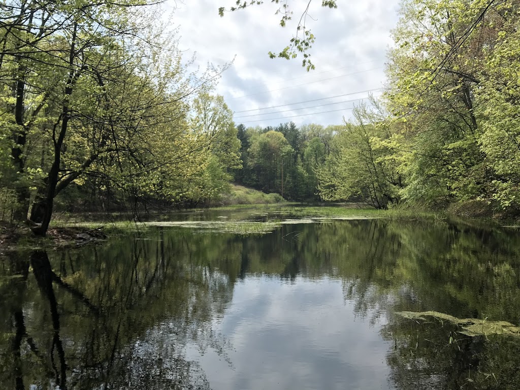 American Meditation Institute | 60 Garner Rd, Averill Park, NY 12018, USA | Phone: (518) 674-8714