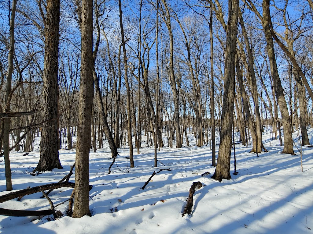 Wood-Rill Scientific and Natural Area (SNA) | 917 Old Long Lake Rd, Wayzata, MN 55391, USA | Phone: (651) 259-5800