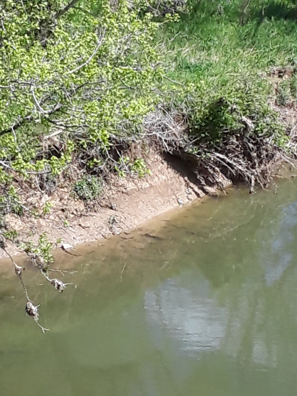 Wild Hyacinth Trail | Louisville, KY 40299, USA | Phone: (502) 584-0350