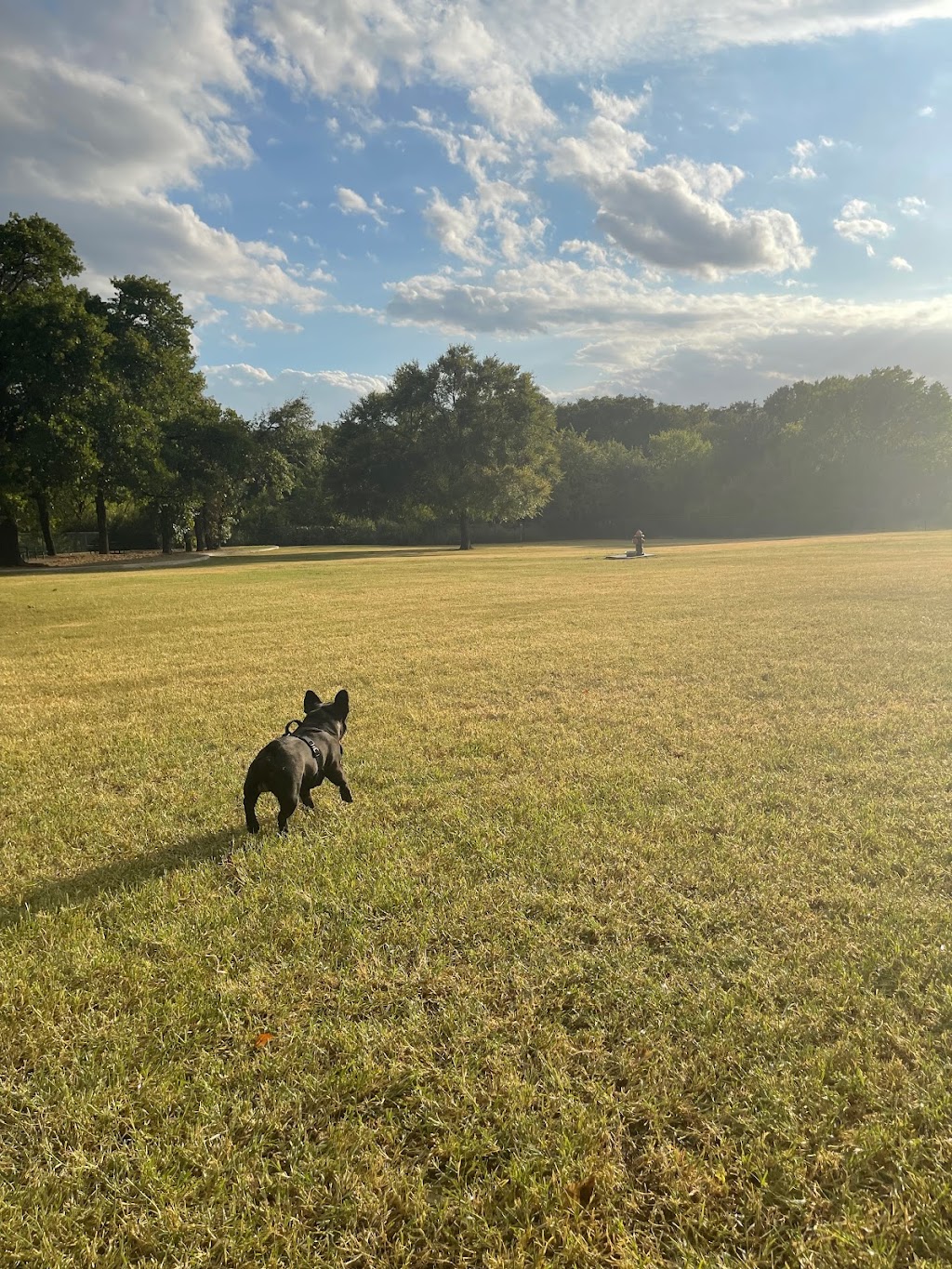 Wiggly Field Dog Park | 1760 E Ryan Rd, Denton, TX 76210, USA | Phone: (940) 349-7275