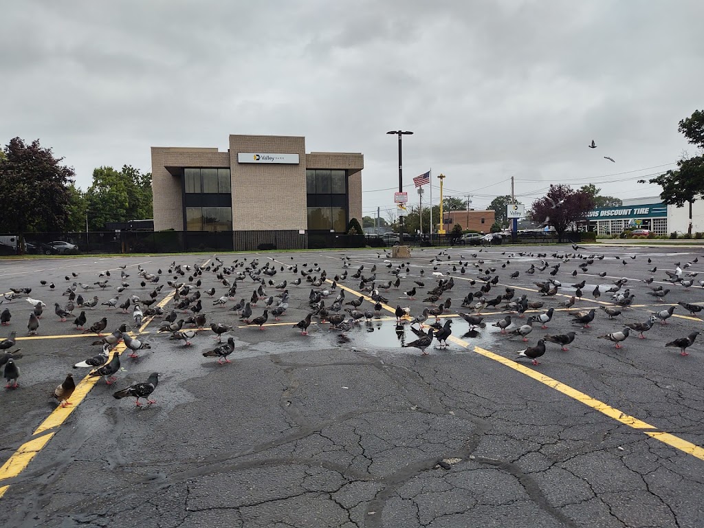 Mineola Crossings | 330 E Jericho Turnpike, Mineola, NY 11501, USA | Phone: (833) 800-4343