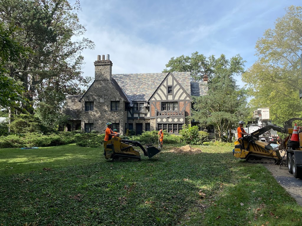 Gregory Forrest Lester Inc | 7798 Reading Rd Suite E, Cincinnati, OH 45237, USA | Phone: (513) 351-6100