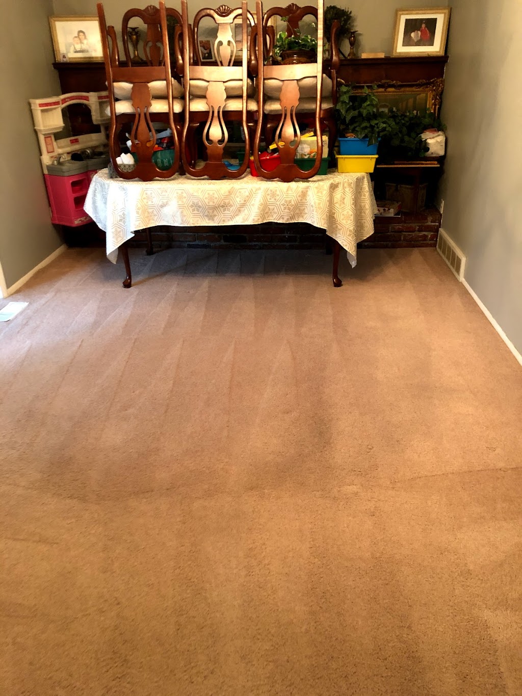 Selective Carpet Cleaning | 34424 Hazelwood St, Westland, MI 48186, USA | Phone: (734) 453-8007