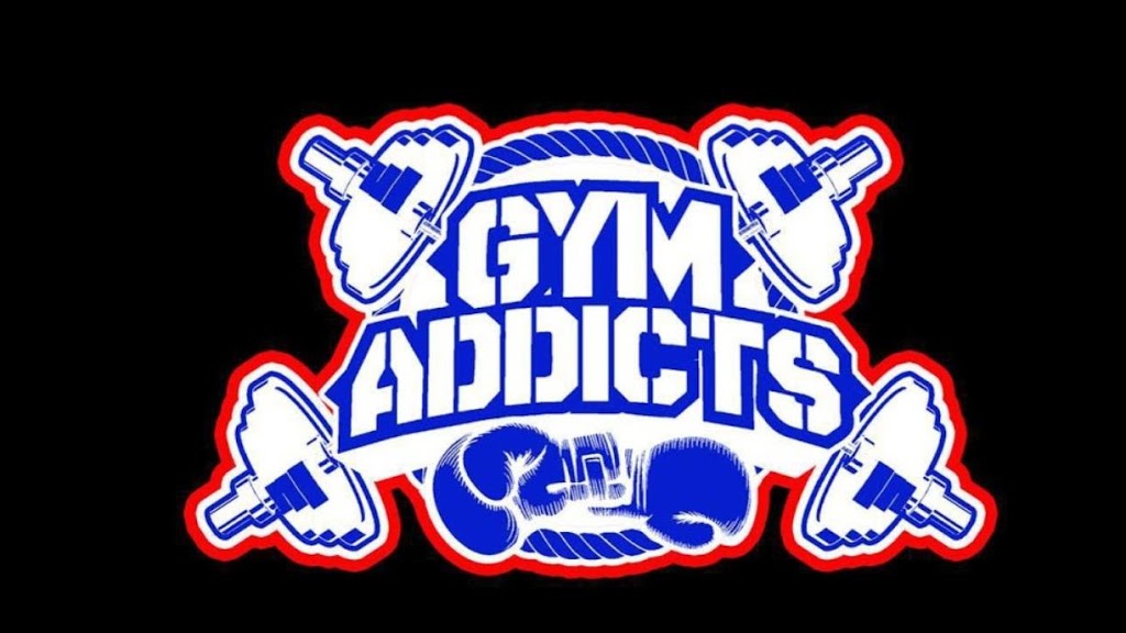 Mojo’s GYM Addicts | 3919 Lafayette Rd, Indianapolis, IN 46254, USA | Phone: (317) 698-5569