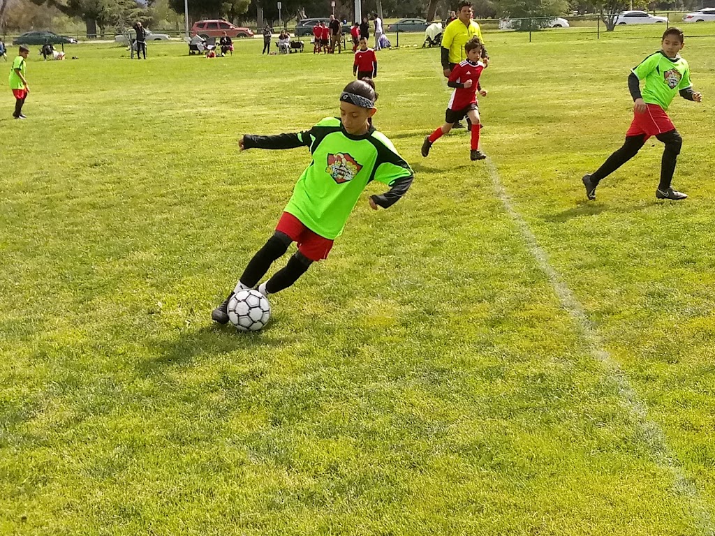 Academy de futbol blue eagles y red scorpions | 7307 Variel Ave #1, Canoga Park, CA 91303, USA | Phone: (818) 564-1098