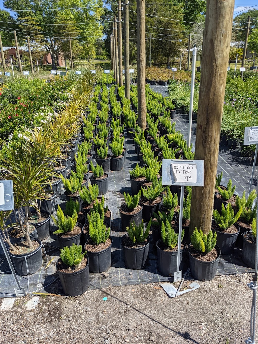 C C Landscaping, Nursery and Garden Center | 16100 E, FL-64, Bradenton, FL 34212, USA | Phone: (941) 714-0065