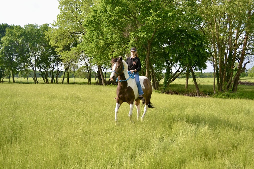 Sweetinfit Horsemanship | 8948 FM1827, Anna, TX 75409 | Phone: (214) 491-8635