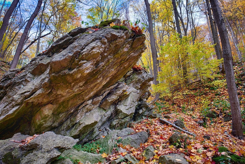 Upper Whirlpool Trails, Niagara River Whirlpool, Canada | 4013, 4009 Niagara Pkwy, Niagara Falls, ON L2E 3E8, Canada | Phone: (877) 642-7275