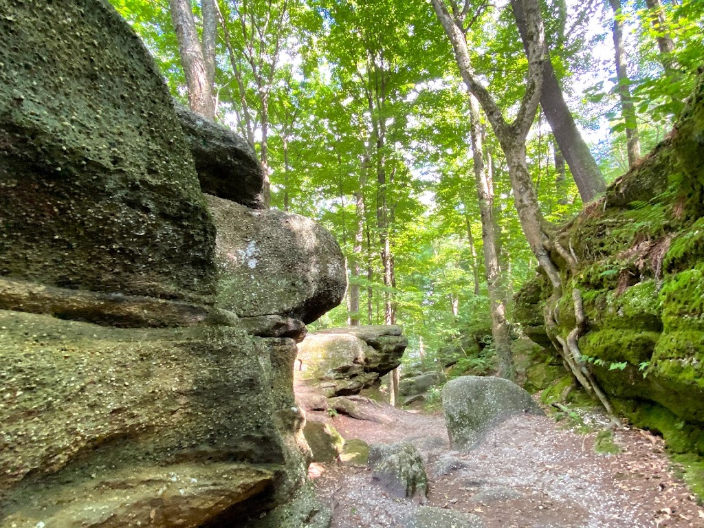 Nelson-Kennedy Ledges State Park | 12440 OH-282, Garrettsville, OH 44231, USA | Phone: (330) 235-0030