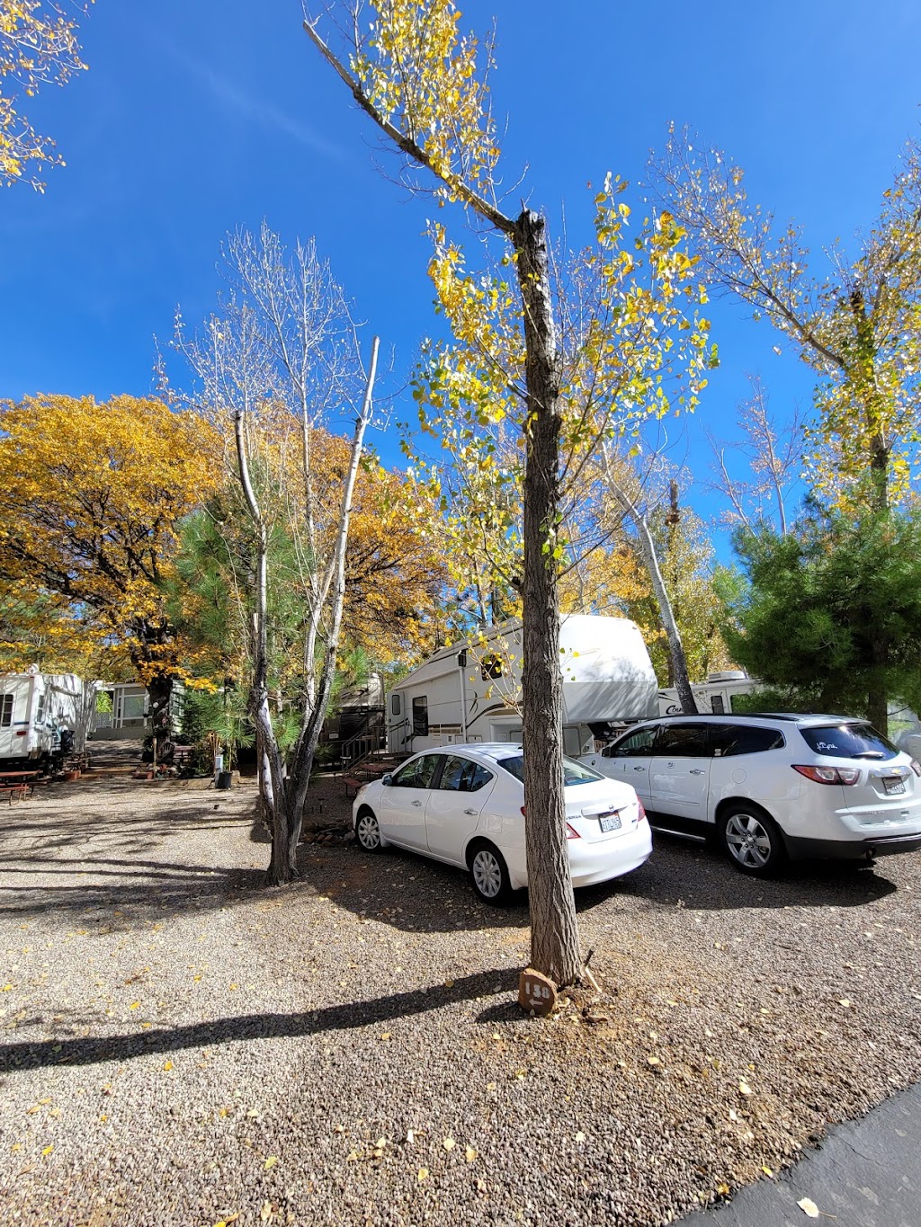 Pinezanita RV Park & Campgrounds | 4446 CA-79, Julian, CA 92036, USA | Phone: (760) 765-0429