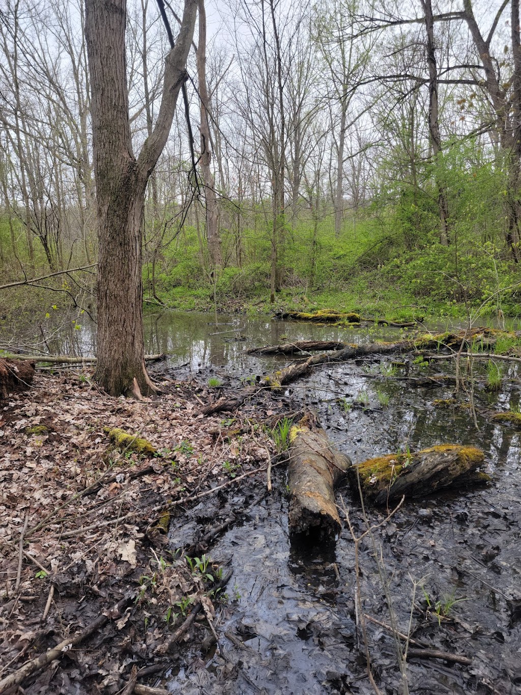 Pond Brook Conservation Area | 3973 E Aurora Rd, Twinsburg, OH 44087, USA | Phone: (330) 867-5511