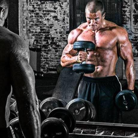 Bullfrog Nutrition Sylvania | 6600 W Sylvania Ave #3b, Sylvania, OH 43560, USA | Phone: (614) 546-7848